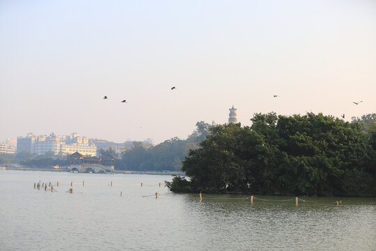 惠州西湖鸟岛风景