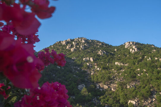 高山山峰风景