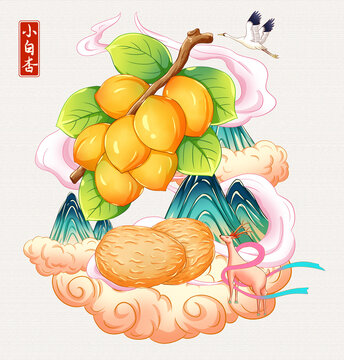 小白杏插画手绘