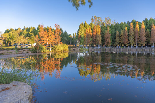 滇池湿地