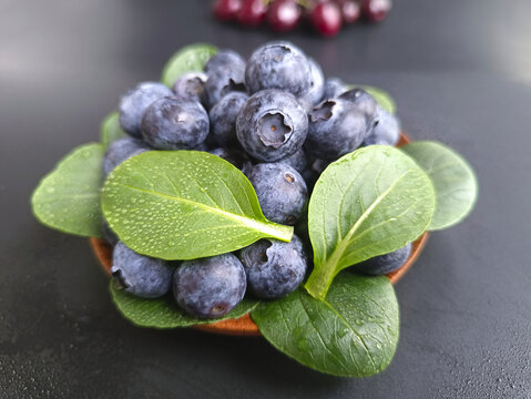 素材鲜蓝莓