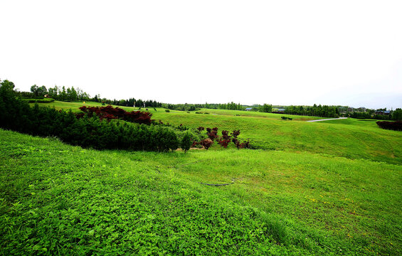 重庆秀山川河盖草场