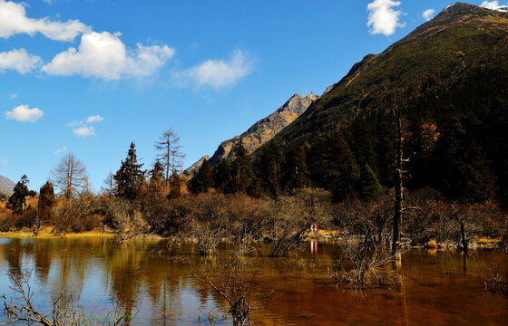 四川毕棚沟