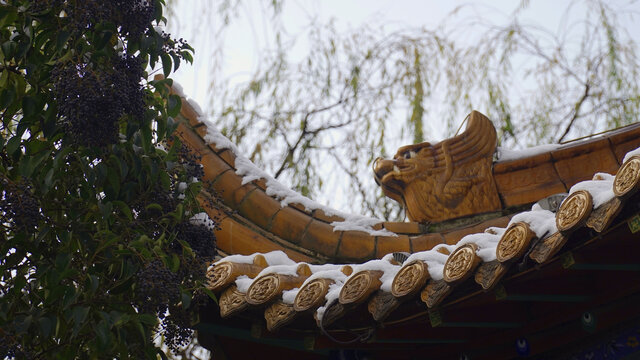 落雪的屋檐