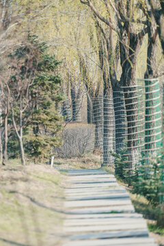 春夏时节光影中的通道