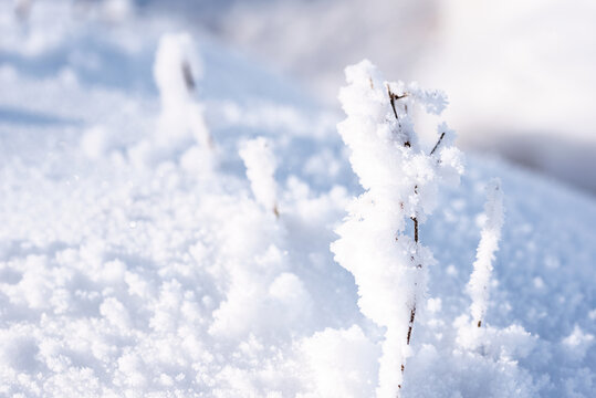 冬天纯净的户外雪景