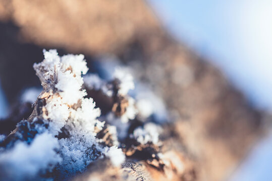 冬季户外冰晶雪花背景