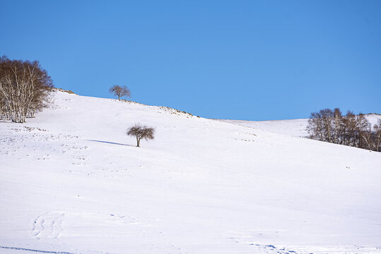 冬天的草原雪景