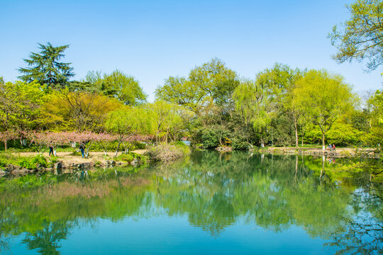 杭州西湖春景