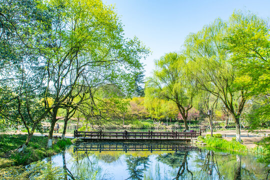 杭州西湖春景