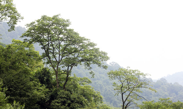 汶川三江景区