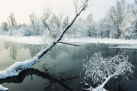 清晨冰雪河流树木