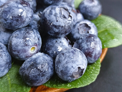 酸甜浆果蓝莓