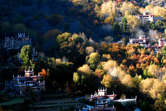 秋色藏寨