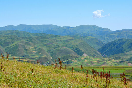 西北大山