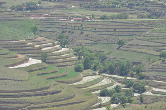 六盘山风光