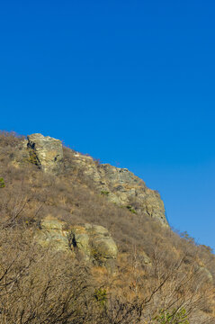 香山风光