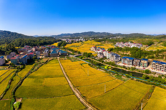 乡村金秋田园风光鸟瞰航拍