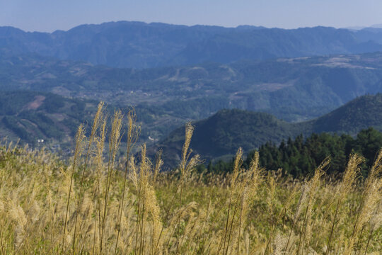 高山群山森林蓝天