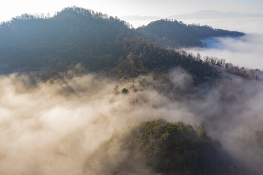 杭州富阳区洞桥镇横洞山云海