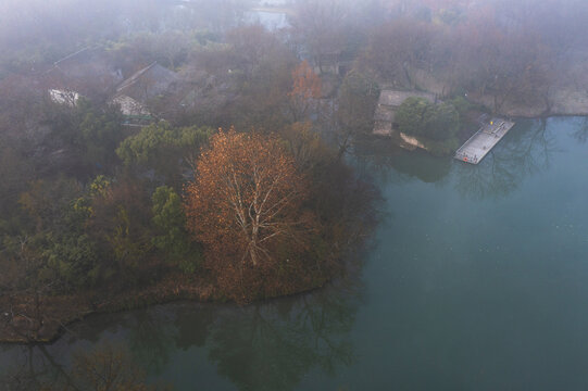 杭州市西溪湿地公园晨曦云雾