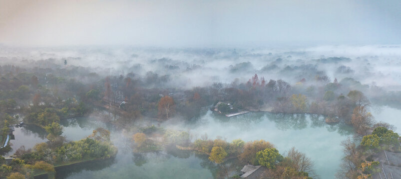 杭州市西溪湿地公园晨曦云雾