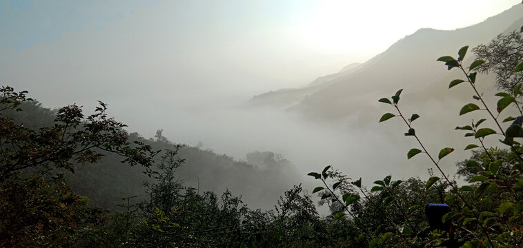 高山云雾