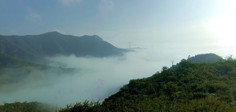 高山云雾