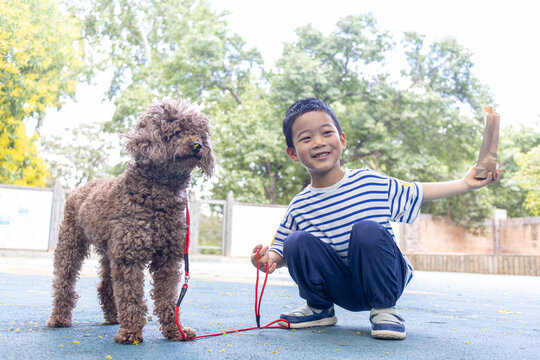 快乐的小男孩和小狗在院子里玩耍
