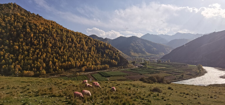 大山秋色