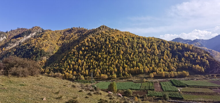 大山秋色