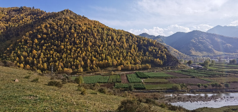 大山秋色