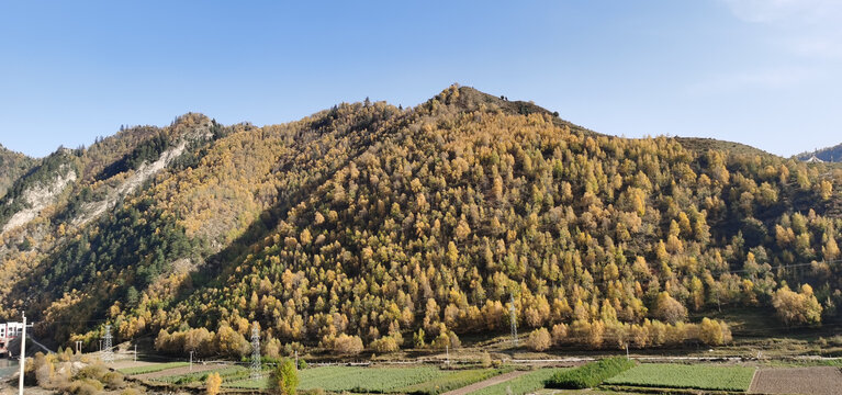 大山秋色