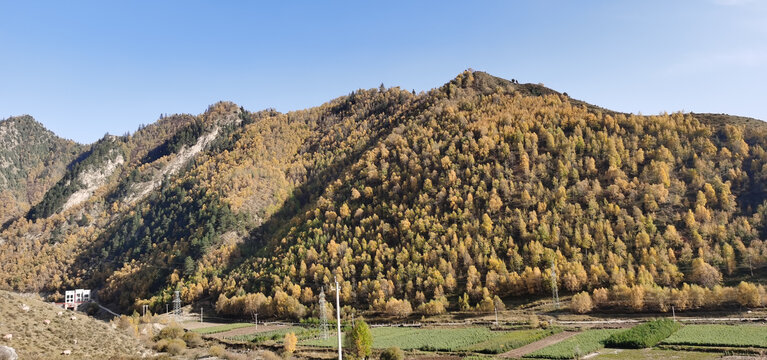 大山秋色