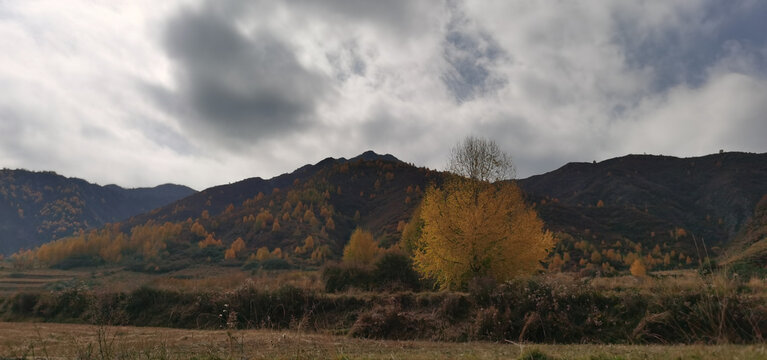 山野田地