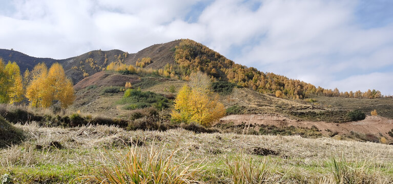 山村田野