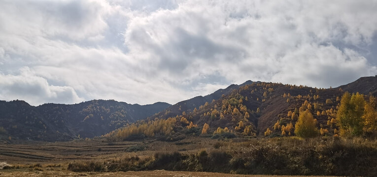 山村田野