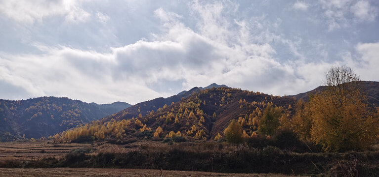 山村田野