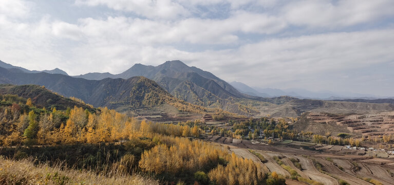 山野田地