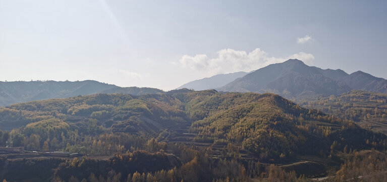 大山田野