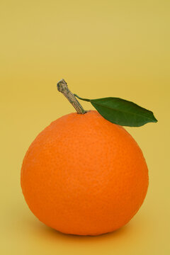 果冻橙纯色背景