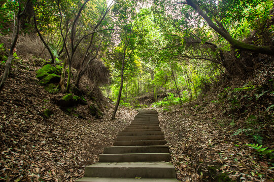 登山步道