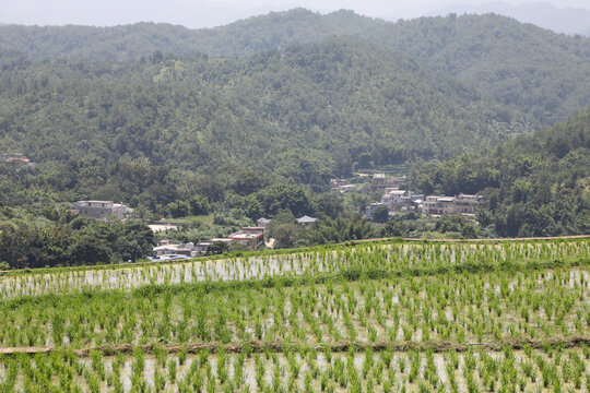 乡村旅游