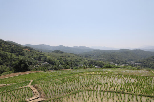 乡村旅游