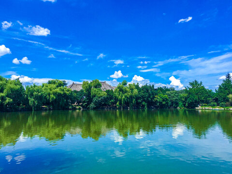 未名湖夏景