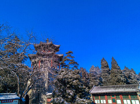 颐和园冬景