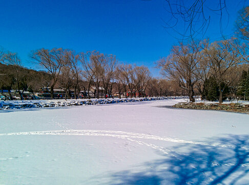 颐和园冬景