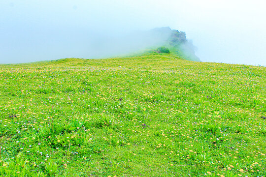 九顶山