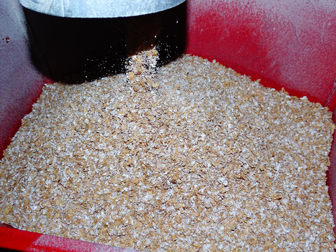加工小麦面粉