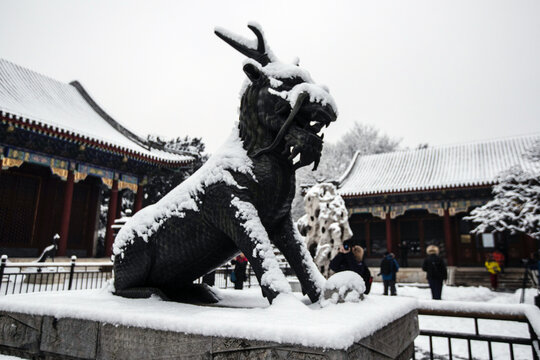 雪染园林